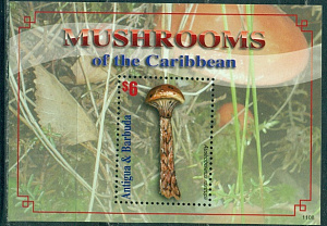 Антигуа и Барбуда, 2011, Грибы, блок 6$